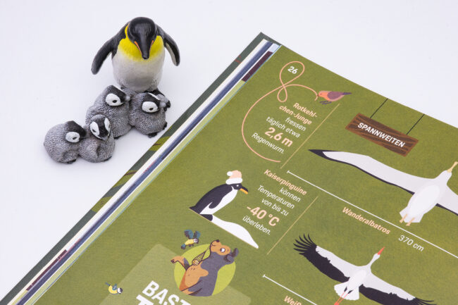 Portfolio Porsche Kinderbuch